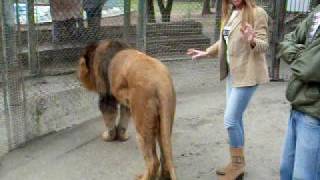 ZOO LUJAN MP V