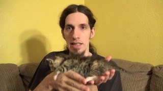 A Sudden Box of Kittens