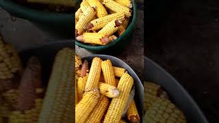 Прибор для очистки початков кукурузы от зерна