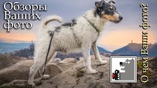 Обзор фотографий | О чём Ваши фото?