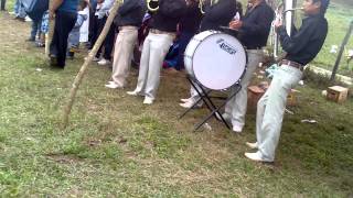 Banda limon de chicamole