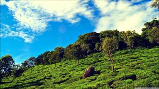 Tsiofy Rano- Vetson'I Fianar