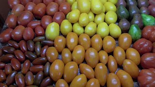 Какие томаты идеально подходят для консервирования? Как выбрать лучшие сорта?