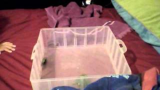 hexbug battle part 2