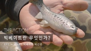 빅베이트의 종류와 기능! 알고가자  [The Action Bass ep 02]