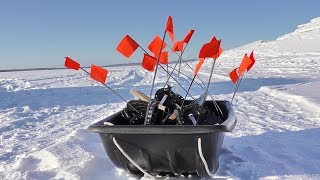 Вот это рыбалка!!! Щуки на жерлицы. Талакан. Pike pecks in winter.