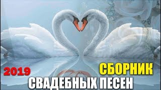 Свадебный сборник - классные песни - веселые и лирика!!!!