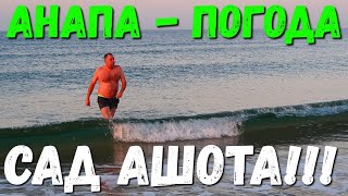 #АНАПА - 7.50 УТРА - ПОХОЛОДАНИЕ - АШОТ КУПАЕТСЯ!!! 11.12.2019