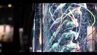 Jurassic World Trailer Principio Alernativo