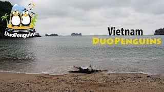 Вьетнам. Пингвин в море. Бухта Халонг. Путь через джунгли. Остров Кат-Ба.