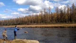 Осенняя ловля хариуса на удочку+мормышка