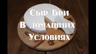 Как приготовить сыр Бри в домашних условиях   Полный пошаговый рецепт