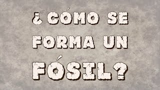 VIAJE AL PASADO A TRAVES DE LOS FOSILES (Capítulo1)
