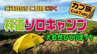 林道ソロキャンプ～大自然一人ぼっち～