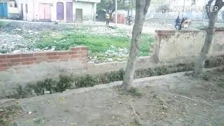 Qismat story by tiger tech