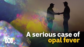 Young prospector with a serious case of opal fever ⛏️?? | Landlife