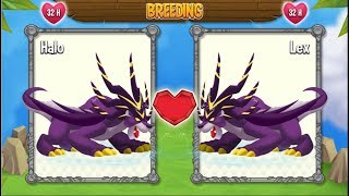 Panther Dragon vs Panther Dragon | Dragon City [EXCLUSIVE BREEDING DRAGON]