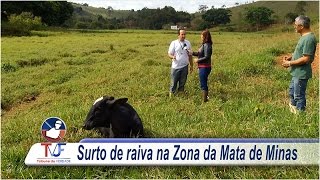 SURTO DE RAIVA NA REGIÃO DE RIO NOVO - ZONA DA MATA DE MINAS