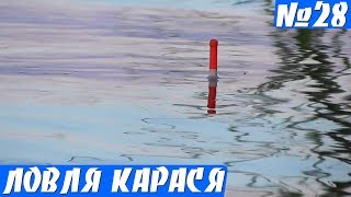 Рыбалка на карася Утром, пока не Жарко! (карась на поплавок)