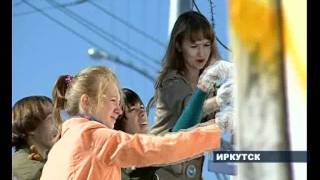 Покраска забора
