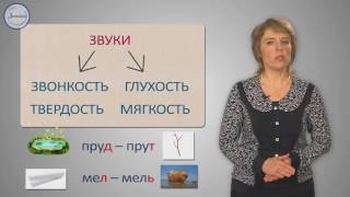 Русский 1 Согласные звуки и их буквы