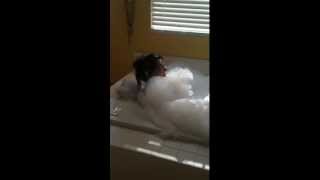 40th birthday Bubble Bath