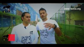 RECICA al rescate de nuestra fauna