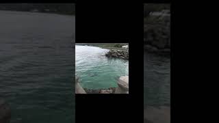 Taiwan Angler-墾丁紅柴坑釣遊