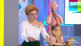 Жить здорово! Грыжа. Оперировать или нет? 08.11.2018