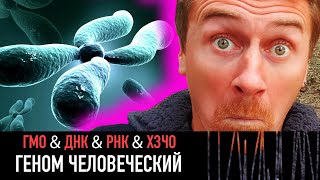 Геном человеческий — РАЗНЫЕ ТЕЛЕГИ