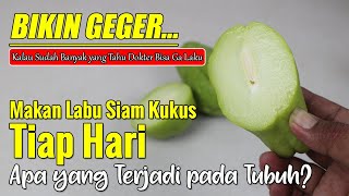 SETELAH NONTON VIDEO INI, ANDA TIDAK AKAN MENINGGALKAN LABU SIAM DI MEJA MAKAN SETIAP HARI