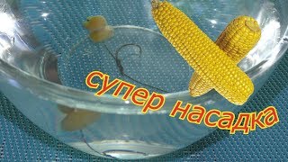 Уловистая насадка - "плавающая кукуруза".  Как сделать?  My fishing.