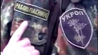 укропы - рабовлодельцы