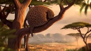 Até os animais Sofrem - wft - What if wild animals ate fast food