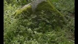 Rolandas Paulauskas- Kelionė po Savo Stogu...ir atgal