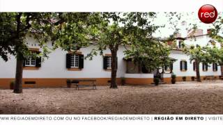 Férias Alternativas - Turismo Rural (Santarém)