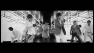 [MV] Super Junior - Sorry Sorry (Chipmunk Version)