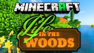 Minecraft Life In The Woods installieren (mit Shader)