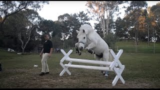 Free Lunging!  (Alyssa)