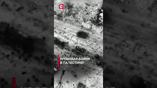 Кровавая бойня в Палестине! Более 100 человек погибли! Кто виноват? #shorts #война #газа #палестина