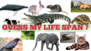 LIFE SPAN OF PLANTS AND ANIMALS --- NCERT