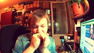 Moby"Natural blues"  Harmonica cover. Губная гармошка.