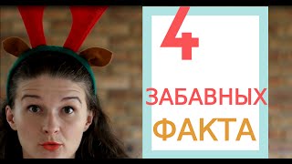 4 интересных факта про Рождество в англоязычных странах