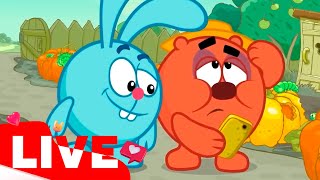 ПРЯМОЙ ЭФИР! LIVE Cмешарики 2D Азбука интернета и Азбука цифровой грамотности | Наука для детей