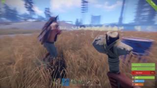 Rust.exe Has Stopped Working...