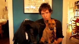 OK Go Announces new label