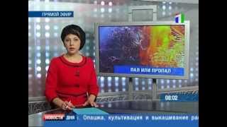 ПАЛ ИЛИ ПРОПАЛ