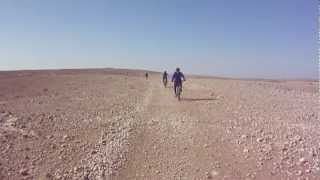 Negev - dimona