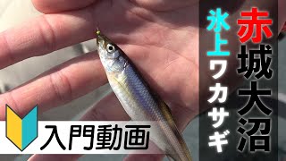 #【はじめてのさかな釣り】『氷上のワカサギ釣り編』～赤城大沼～
