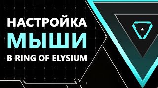 Как настроить мышь в Ring of Elysium
